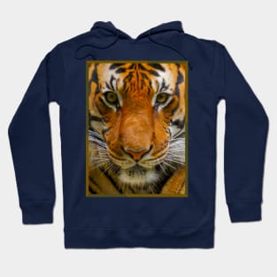 Tiger Stripes Hoodie